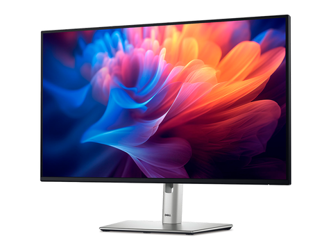 Dell Monitor 24 - P2425H